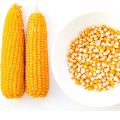 1kg PopCorn seeds with free gift limited stock. 