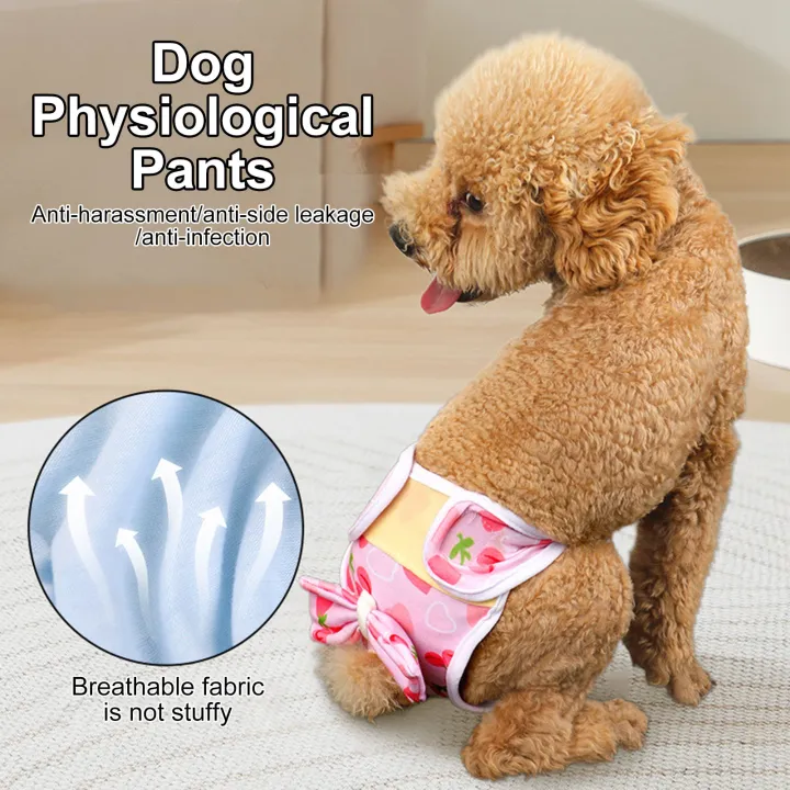 Dog%20Menstrual%20Pants%20Reusable%20Dog%20Diapers%20for%20Female%20Dogs%20in%20Heat%20Breathable%20Pet%20Panties%20for%20Puppy%20Washable%20Physiological%20Pants%20for%20Pet%20Female%20Dog%20Diaper%20-%20Image%204