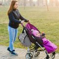 Insulated Bottle Bag Large Capacity Portable Breast Milk Cooler Bag Reusable Baby Bottle Tote Bag For Up To 2 Large 9 Oz Bottles. 