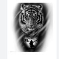 High Quality Vehicle Decore Sticker (22 x 19 cm) For Car | Van | Bike | Three wheel Waterproof Tiger Stickers. 