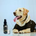 Paw Salon – Herbal Grooming & Finishing Spray (Dogs & Cats). 