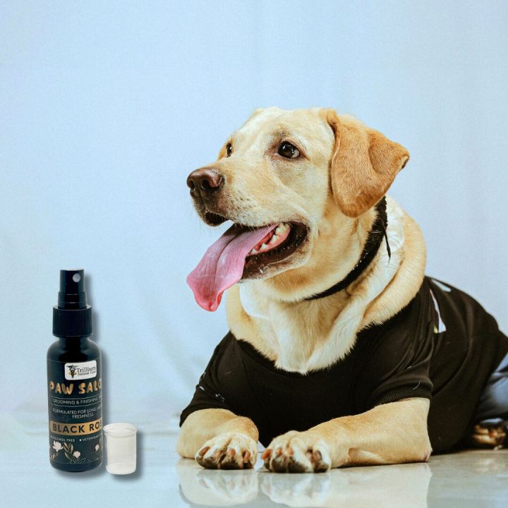 Paw%20Salon%20%E2%80%93%20Herbal%20Grooming%20&%20Finishing%20Spray%20(Dogs%20&%20Cats)%20-%20Image%202