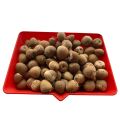 Betel Nut Areca Nut Whole (Karunka) Natural Sun Dried 100g. 