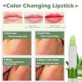 Kiss Beauty Aloe Vera Moisturizing Lip Balm Water Embellish Soothe Color Lipstick 1.8g. 