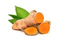 tumeric plant/kaha pala. 