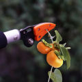 Garden Tree Pruning Shears Tree Trimmer Gardening Tool Fruit Picker Pruner Orchard Tool. 