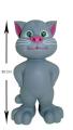 Intelligent Talking TOM CAT. 