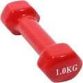 Dumbbell - 1kg (1Piece). 