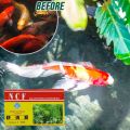 Eco-Aquarium Purifying Powder Purifier Natural Purification Water Efficient Algaecide For Aquarium Pond Cleaning Tool ”€╉. 
