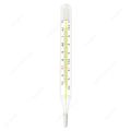 Thermometer (Mercury) Flat Large 2pcs Pack. 