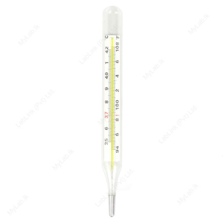 Thermometer (Mercury) Flat Large 2pcs Pack