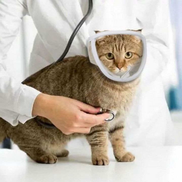 Transparent%20Chewing%20Safety%20Anti%20Bite%20Cat%20Muzzle%20Bathing%20Grooming%20Tools%20Mouth%20Guard%20Kitten%20Muzzles%20Mask%20-%20Image%205