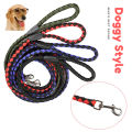 Small Two Colour Walking Nylon Dog Leash Dog Lead Pets Dog Sale Durable Traction Training Rope Dog Belt Dog Chain Dog Body Belt Chest Belt Metal Buckle Clasp Dog Collar Dog Strap Dogs Belt Dogs Sell Dogs Sale Strip Lanka Dogs Sale Sri Lanka Dog Rope. 