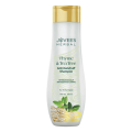Jovees Thyme & Tea Tree Anti-Dandruff Shampoo - 300ml. 