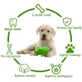 Benepaw Durable Dog Chew Toys For Medium Large Dogs Squeaker Eco-friendly Soft Rubber Pig Toy Pet Interactive Relieve Anxierty. 
