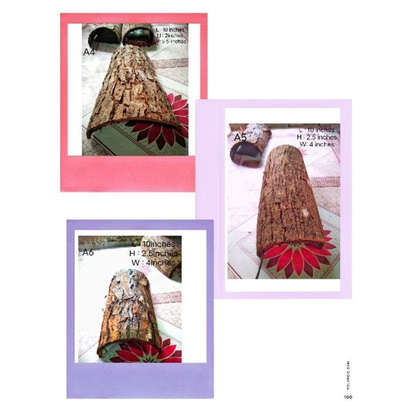 %E2%96%A8%E2%98%83Tarantula%20hide,%20Reptile%20etc..Balat%20ng%20Mahogany%20,dry%20Mahogany%20Bark%20-%20Image%203