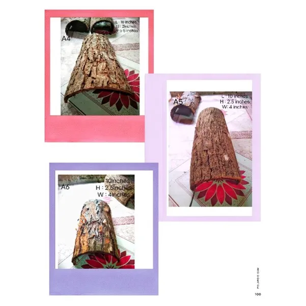 %E2%97%8FTarantula%20hide,%20Reptile%20etc..Balat%20ng%20Mahogany%20,dry%20Mahogany%20Bark%20-%20Image%203