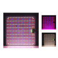 Poplikdfr 60W LED Quantum Board Plant Grow Light Full Spectrum Dimming Timer Succulents Growing Lights For Indoor Plants. 