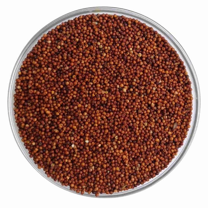 Finger%20Millet%20(Kurakkan)%20%7C%20Unpolished%20Finger%20Millet%20(%E0%AE%95%E0%AF%81%E0%AE%B0%E0%AE%95%E0%AF%8D%E0%AE%95%E0%AE%A9%E0%AF%8D)%20-%201Kg%20-%20Image%203