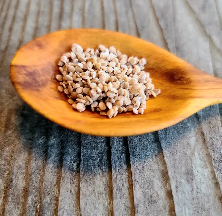 Tomato%20Platinum%20701%20F1%20Seeds%20Takkali%20Beeja%20%E0%B6%AD%E0%B6%9A%E0%B7%8A%E0%B6%9A%E0%B7%8F%E0%B6%BD%E0%B7%92%20%E0%B6%B6%E0%B7%93%E0%B6%A2%202.5g%20Home%20Gardening%20Agriculture%20-%20Image%207