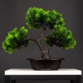 Simulation Tree Realistic Artificial Pine Bonsai Plastic Handmade Simulation Pine Tree Fake Tree with Flowerpot Artificial Bonsai Hotel. 