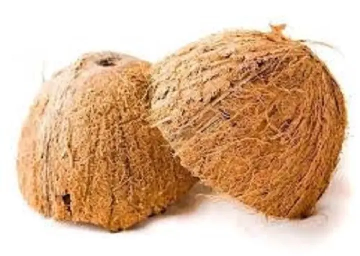 10%20Pcs%20Dry%20Coconut%20Shell%20Without%20Fiber%20But%20Not%20Smooth%20Natural%20Design%20-%20Image%204