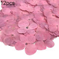 12Pcs Pressed Dried Flower Plant Specimen Epoxy Resin Phone Decor DIY Accessory. 