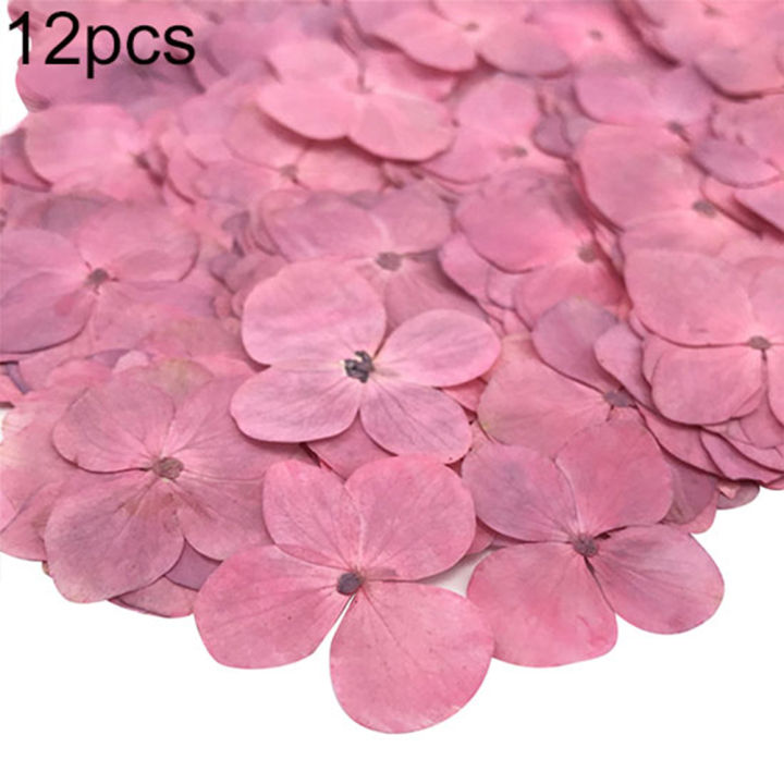 12Pcs Pressed Dried Flower Plant Specimen Epoxy Resin Phone Decor DIY Accessory