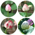 Home Ponds Decor Artistic Landscape Artificial Flower DIY Decoration Long Stem Decorative Fake Flower Green EVA Lotus Leaf Wedding Decoration. 
