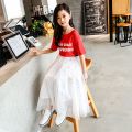 Girl's Miniskirt Mid-Length 2024 Summer New Middle and Big Children Korean Style Starry Skirt Overknee Dress Mesh Skirt. 