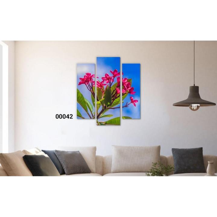 Three (3)Pieces Modern HD Printed Home Decor Wall Art Framed  -  Araliya Sri Lankan