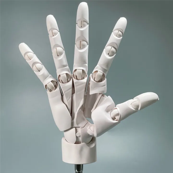 Universal%20Flexible%20Hand%20Model,%20Movable%20Artist%20Mannequin%20Hand%20Shape,%20for%20Home%20Office%20Desk%20Decoration,%20Display%20A%20-%20Image%205