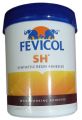 Fevicol SH Synthetic Rubber Resin Adhesive  Pidilite. 