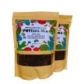 Cactus Potting Mix (1kg) – Ideal Soil for Healthy Succulents & Cacti. 