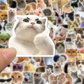 100PCS Cute Cat Meme Stickers - Viral Kitty Meme Doodle Decals For DIY Fun Layor. 