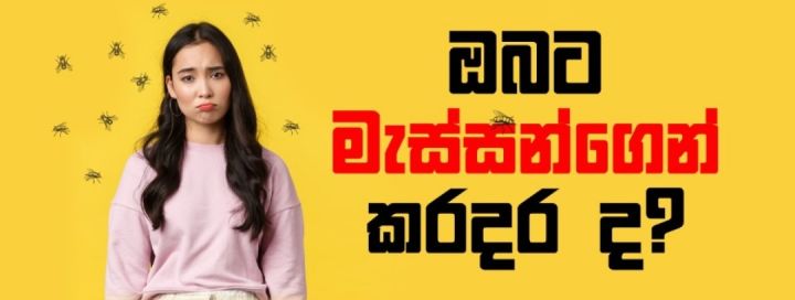 Fly%20Killer%20-%20Herbal%20Pest%20Control%20-%20Image%202