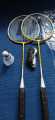 Badminton two rackets with shutle and net for Family fun time. 
