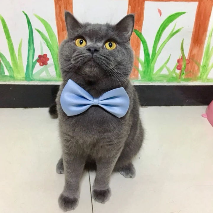 %E3%80%90HOT%E3%80%91%20Dog%20Bow%20Tie%20Adjustable%20Dog%20Cat%20Necklace%20Neck%20Tie%20Cute%20Convenient%20Pet%20Accessories%20Bow%20Tie%20Formal%20Puppy%20Bowtie%20Collar%20Pet%20Supplies%20-%20Image%202