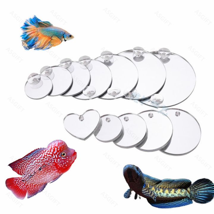 Acrylic%20Aquarium%20Betta%20Mirror%20Fish%20Tank%20Floating%20Mirror%20For%20Fish%20Betta%20Flowerhorn%20Cichlid%20Training%20Playing%20Accessories%20-%20Image%205