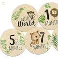7x Baby Milestone Cards Round Wooden Monthly Cards for Home Table Decoration. 