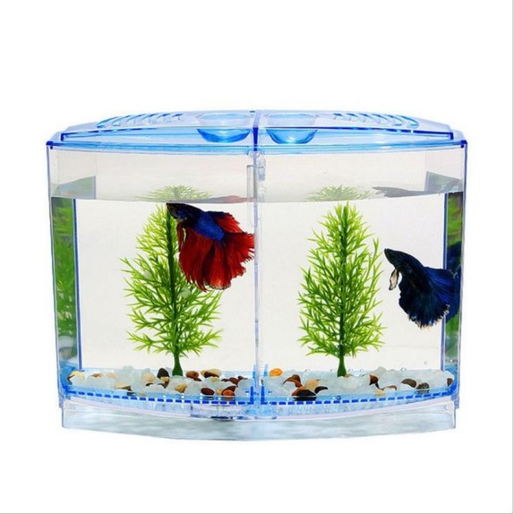 Practical Transparent Betta Fish Plastic Single/Double Grid Double-grid ...