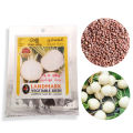 Radish Seeds, Raabu Japan Bola Beeja, 2g. 