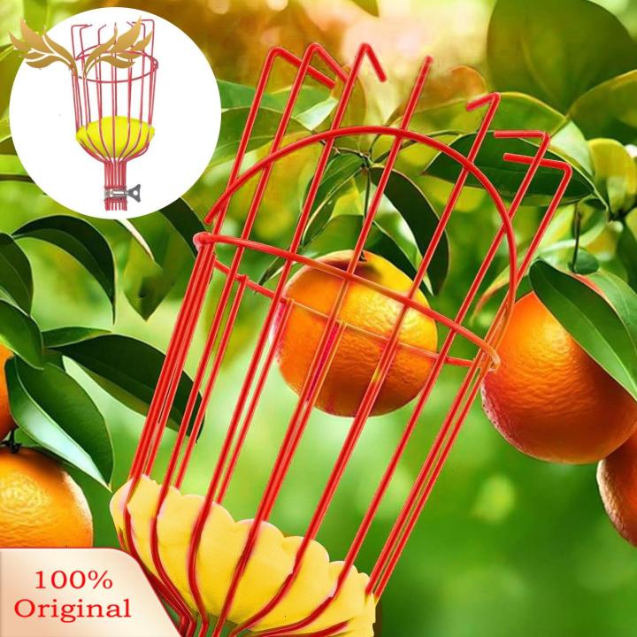 SuperRide%20Portable%20Fruit%20Picking%20Tool%20Telescopic%20Fruit%20Picker%20Pole%20with%20Basket%20Extendable%20Harvesting%20Tool%20for%20High%20Trees%20Ideal%20for%20Apples%20Oranges%20Avocados%20Garden%20Tool%20for%20Metal%20Fruit%20Picking%20Pole%20-%20Image%205
