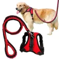 Big Pet Dedicated Dog Leash And Collar Strands Plaited Rope Dogs Collars Leashes Chain Strong For Large Dogs Animals. 