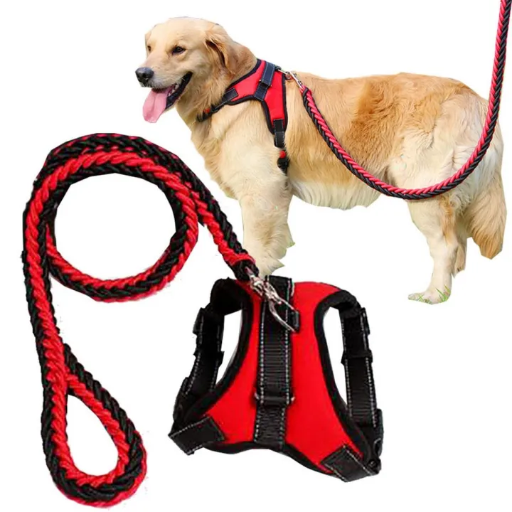 Big Pet Dedicated Dog Leash And Collar Strands Plaited Rope Dogs Collars Leashes Chain Strong For Large Dogs Animals