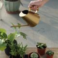 Stainless Steel Watering Can Bonsai Plants Handheld Water Pot with Long Spout Indoor Outdoor Watering Plants Flower Garden Tool. 