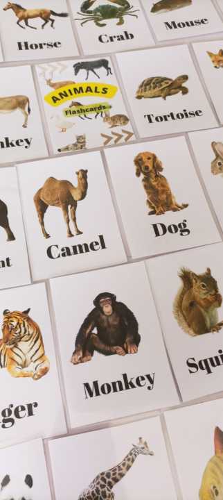 Animal%20Flashcards,%20kids%20educational%20tools,%20kids%20flashcards%20-%20Image%204