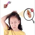 Metal Fine Tooth Nit Comb with Long Handle Professional Head Lice Comb for Detection and Nit Removal Tool for Kids, Adults, and Pets. 