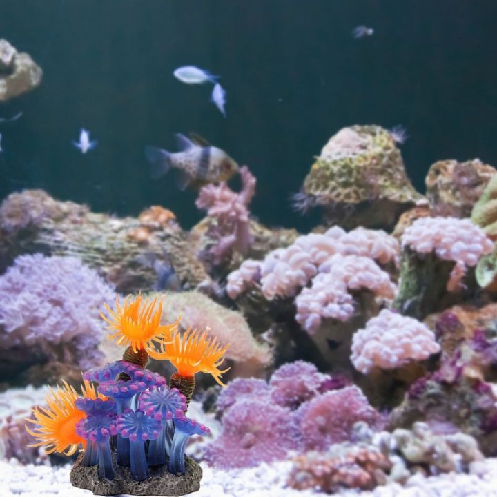 RAN Terrarium Sea-Urchin Coral Clump Decoration Lovely Fish for Tank ...