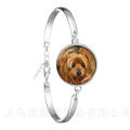 Agile Dog Bracelet French Bulldog Cocker Spaniel Look Like Cute Cuddly Silver Plated Chain Bangle Glass Dome Men Women Jewelry. 